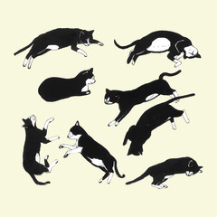 Hand drawn cats sleeping in different poses. Vector illustration