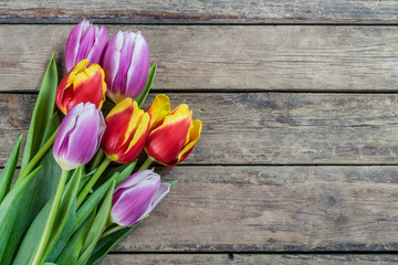 Holiday Tulip Flowers on Wooden Background