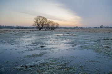 łąka wczesną wiosną © Mike Mareen