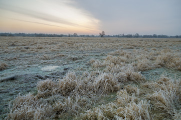 łąka wczesną wiosną © Mike Mareen