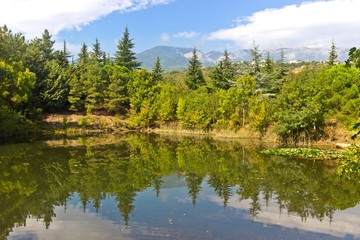 Mountain landscape with lake and pine forest