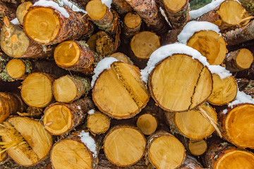 stack of cut logs