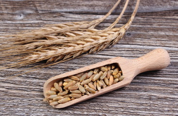 Fototapeta na wymiar Heap and ears of rye grain on wooden background