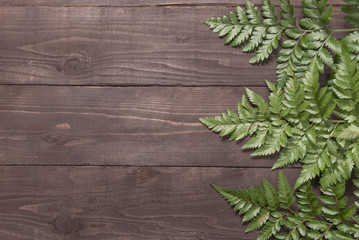 Ferns are on the wooden background for your text.