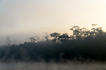 Fototapeta na wymiar Morning fog over lake with pine forest at Galyani Vadhana District in Thailand