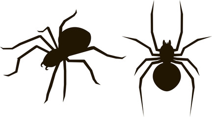 Two silhouette with spiders