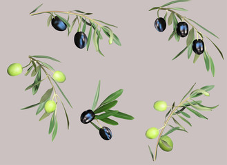 green and black olives collection isolated on light background