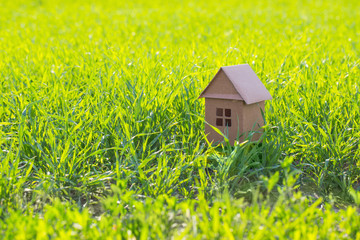 paper house on spring grass