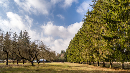 Gospodarstwo © podlaski49