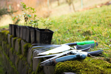 Gardening Tools with Garden Flower Pots and Green Plants
