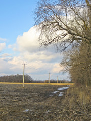 early spring landscape