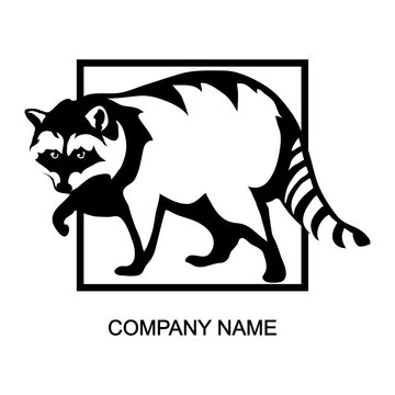 raccoon logo