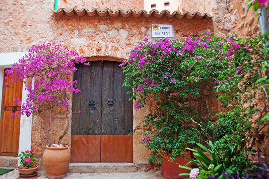 Maiorca, Isole Baleari, Spagna: piante di bougainvillea davanti al portone di una casa nel centro di Fornalutx, un villaggio di montagna nel distretto di Soller, 13 giugno 2012