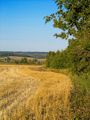 Mown field with a blue sky