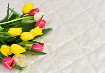 Spring Tulip Flowers in a room interior. Tulips bunch. Tulips on