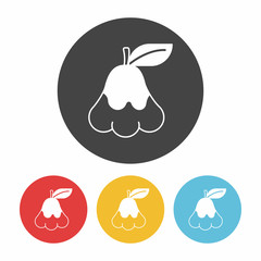 fruits wax-apple icon