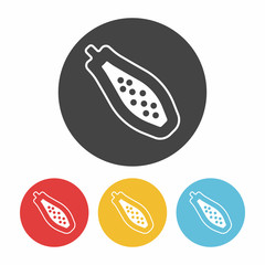 fruits papaya icon