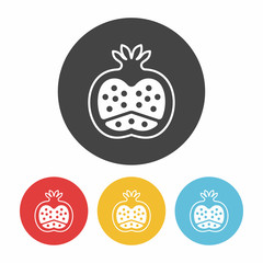 fruits pomegranate icon
