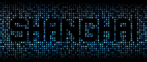 Shanghai text on hex code illustration