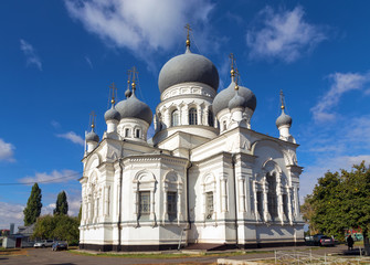 Fototapeta na wymiar Church of the Nativity. Anna. Russia