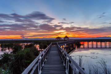 Fototapeta premium Wooden Bridge in lotus lake on sunset time at Khao Sam Roi Yot National Park, Thailand