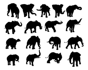 Elephant Silhouettes Set