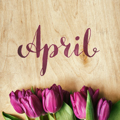 Pink, tulips bunch on light plywood background. Space for text,