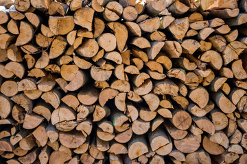 Umgeschnittene Baumstämme