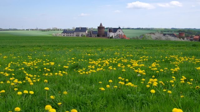 Leisnig Burg Mildenstein mit Fruehlingswiese vid 03