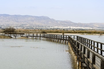 Fototapeta premium Wooden walkway in Spain