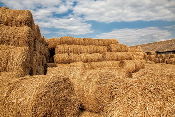 Storage of hay