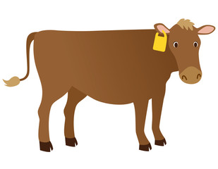 牛　ジャージー