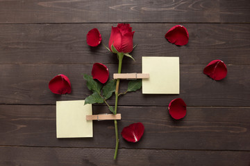 Red rose flower is on the wooden background with sticky note