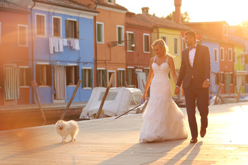 bride and groom walking their dog