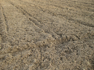 Disc harrow plow the garden