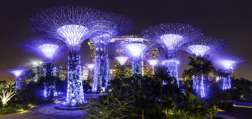 Supertree garden at night, Garden by the Bay, Singapore