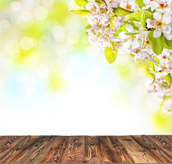 Naklejka na ściany i meble Cherry blossoms with empty wooden planks