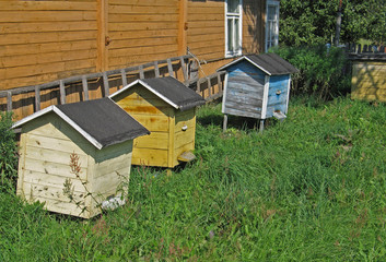 Old hives