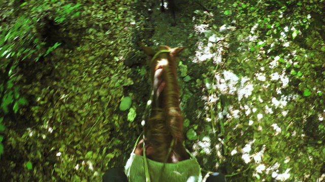 Astride on horse summer