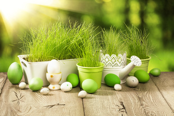 Spring decoration with grass