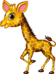 Cartoon funny baby giraffe isolated on white background