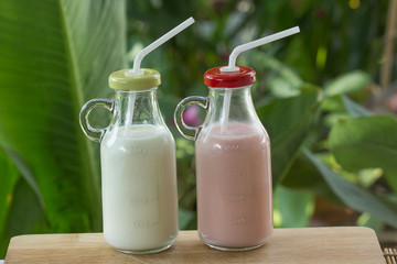 Fresh and Strawberry flavour Milk