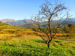 Sierra Huma mountain in Sunshine