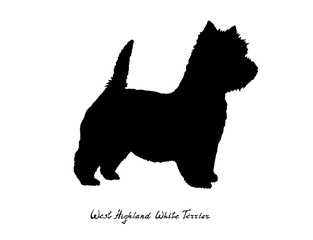 Black silhouette of dog West Highland White Terrier on a white background with the signature