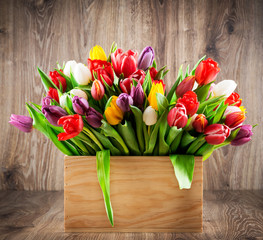 Tulips in the box on wooden background