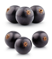 Black currant berry isolated on white background