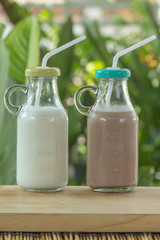 Glass of Chocolate and Fresh Milk