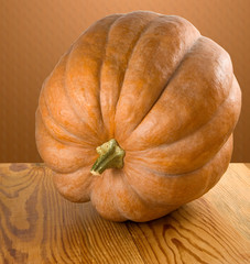 image of a ripe pumpkin close up