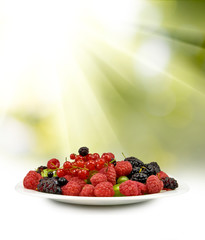 image of different berries in a plate close-up