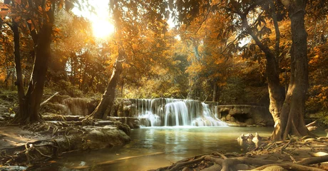 Gordijnen prachtige waterval in tropisch bos © Tony A